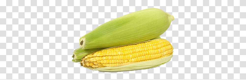 Corn Images Free Download Background, Plant, Banana, Fruit, Food Transparent Png