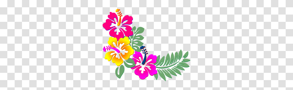 Corn Images Icon Cliparts, Plant, Hibiscus, Flower, Blossom Transparent Png