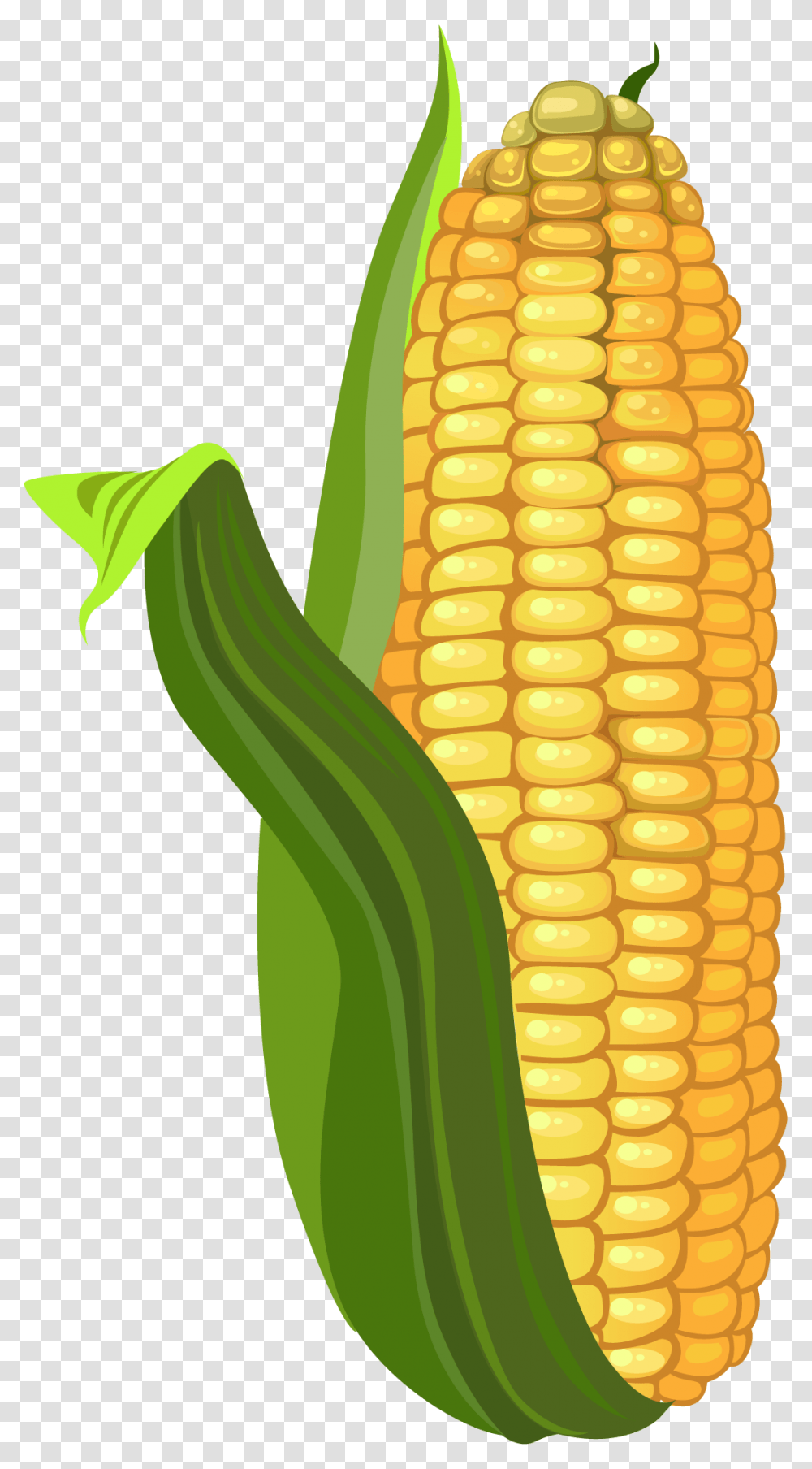 Corn Kernels, Plant, Pineapple, Fruit, Food Transparent Png