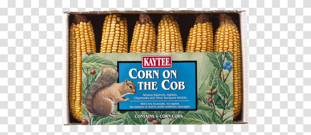 Corn Kernels, Plant, Vegetable, Food, Bear Transparent Png