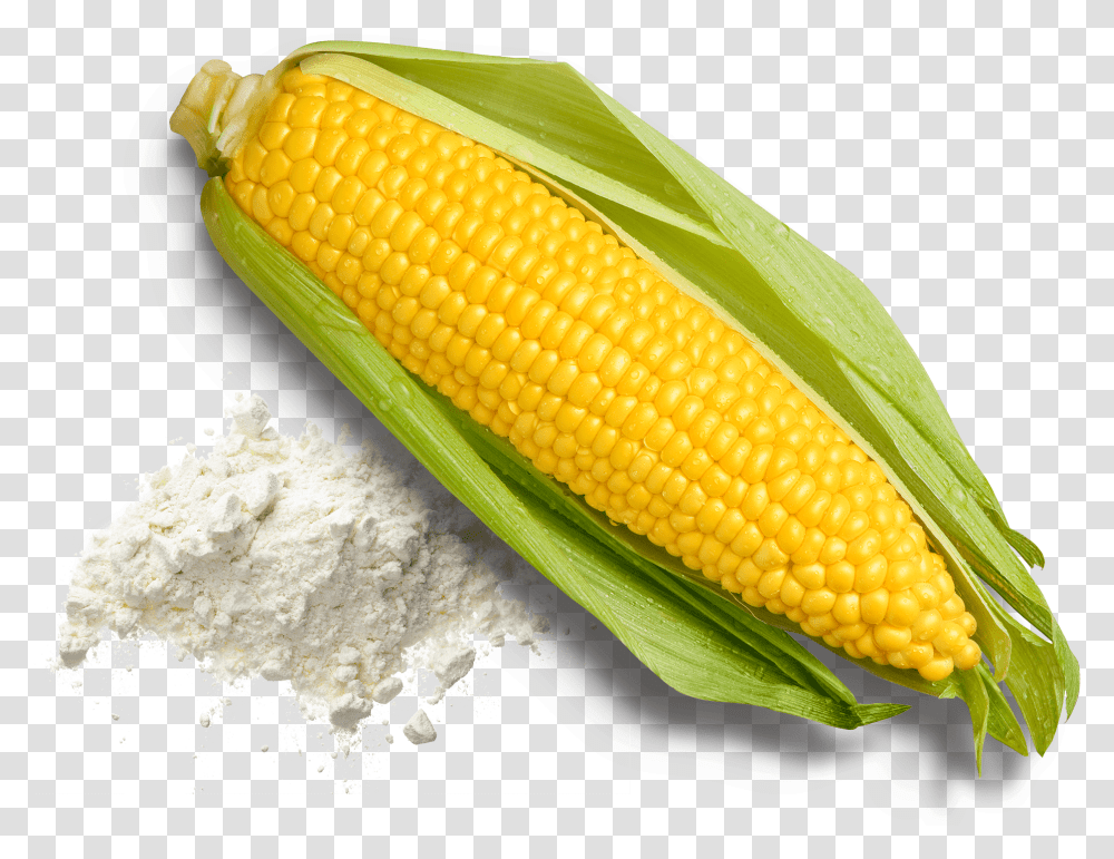 Corn Kernels, Plant, Vegetable, Food, Fungus Transparent Png