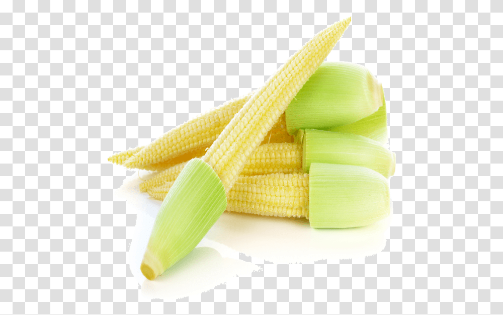 Corn Kernels, Plant, Vegetable, Food Transparent Png