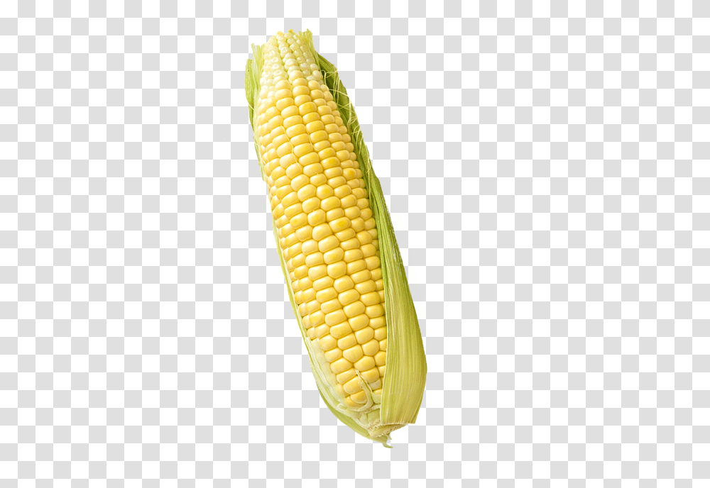 Corn Maize Isolated Maize White Background, Plant, Vegetable, Food, Snake Transparent Png