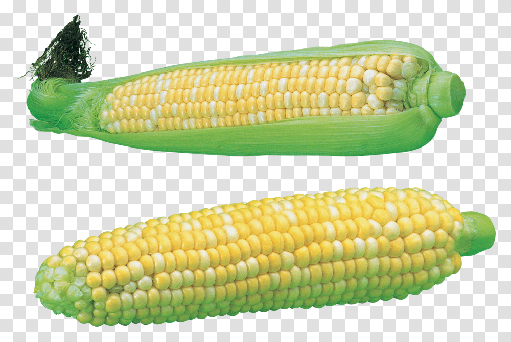 Corn Maize, Plant, Vegetable, Food, Grain Transparent Png
