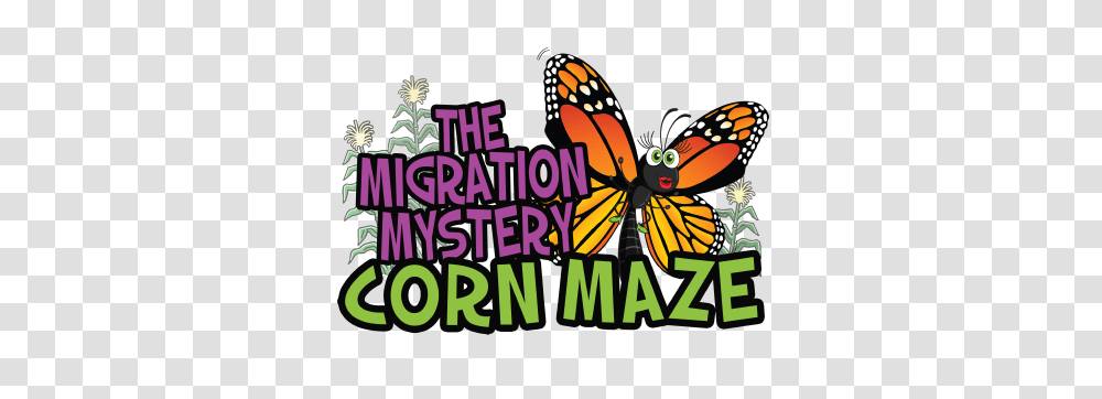 Corn Maze Migration Mystery, Insect, Invertebrate, Animal, Butterfly Transparent Png