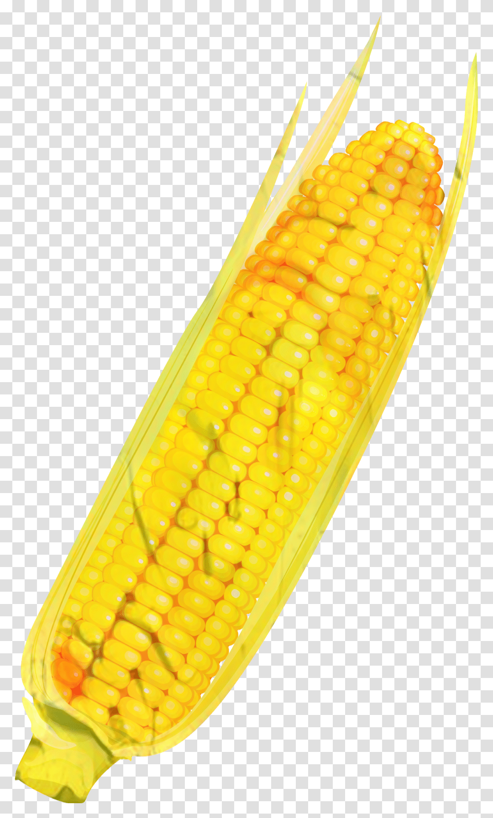 Corn On The Cob Commodity Corn On The Cob, Plant, Vegetable, Food, Grain Transparent Png