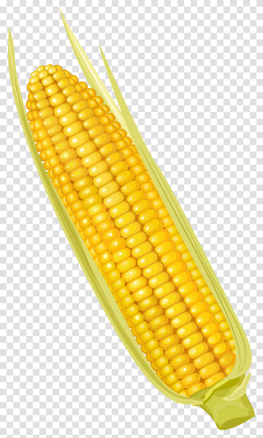 Corn On The Cob Maize Corncob Vegetable Yellow Corn Clipart, Plant, Food Transparent Png