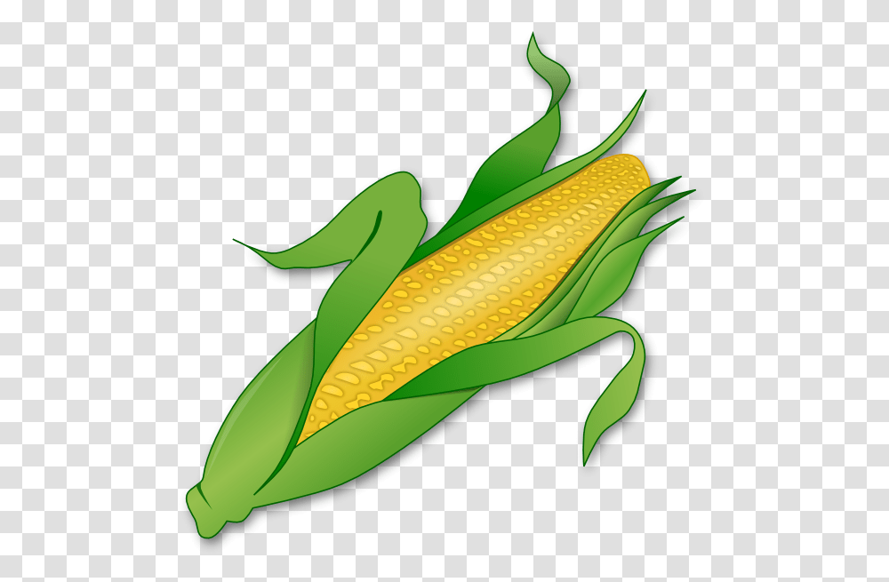 Corn On The Cob Maize Sweet Corn Clip Art Corn Clipart Background, Banana, Fruit, Plant, Food Transparent Png