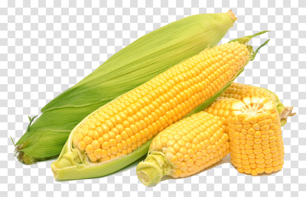 Corn On The Cob Maize Sweet Corn Corn, Plant, Vegetable, Food, Snake Transparent Png