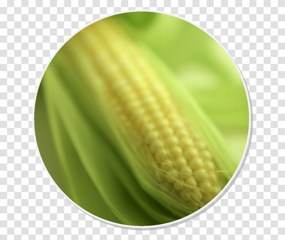 Corn On The Cob, Plant, Vegetable, Food, Tennis Ball Transparent Png