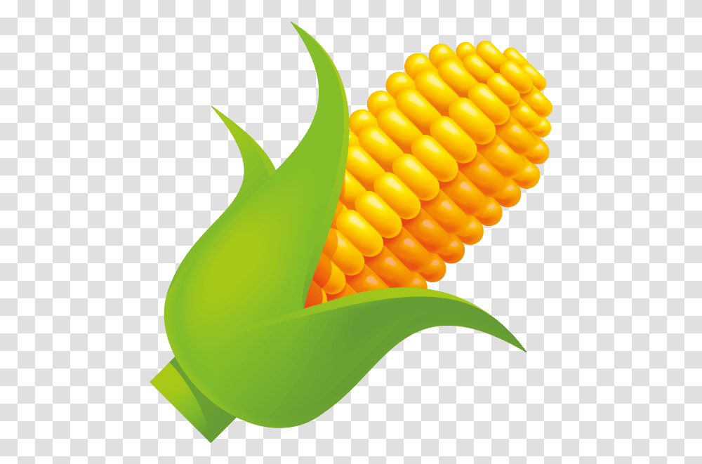 Corn On The Cob, Plant, Vegetable, Food Transparent Png