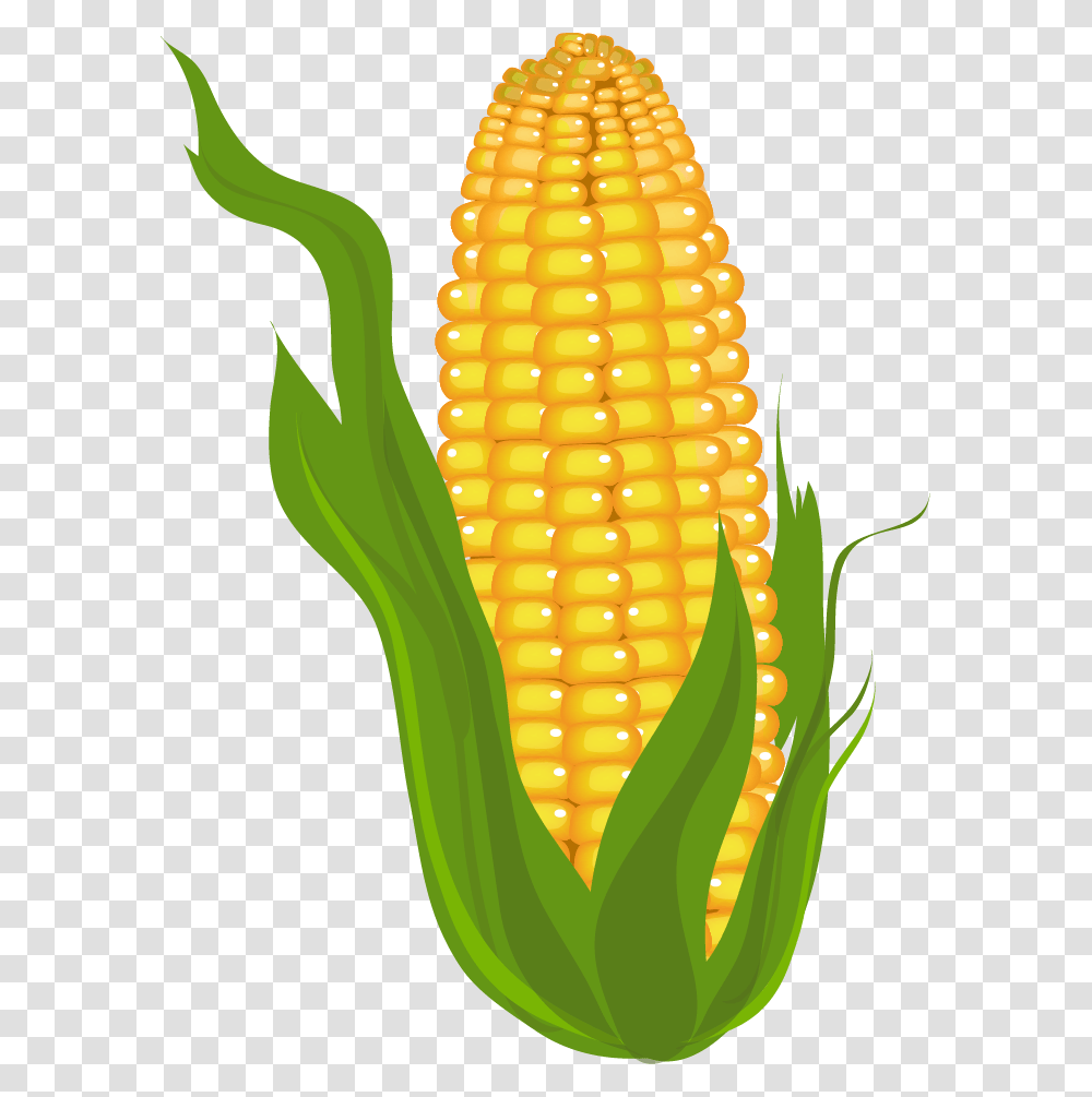 Corn, Plant, Pineapple, Fruit, Food Transparent Png