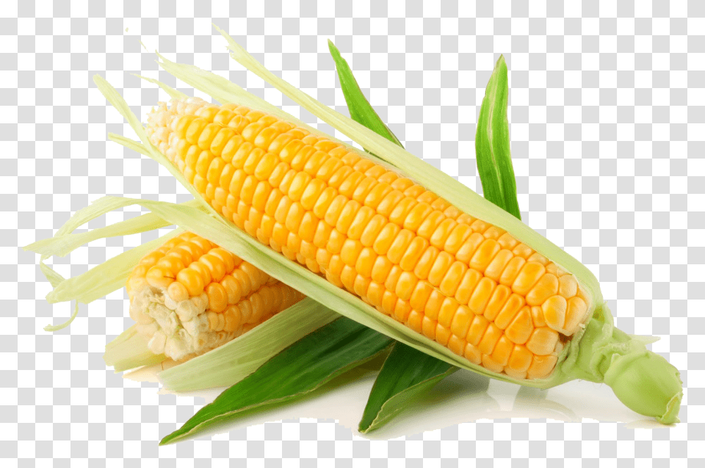 Corn, Plant, Vegetable, Food, Fish Transparent Png