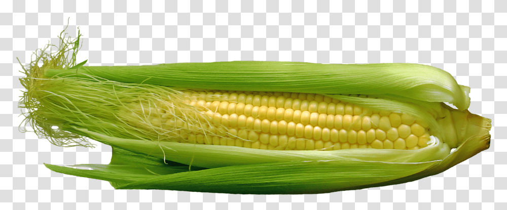 Corn, Plant, Vegetable, Food, Snake Transparent Png