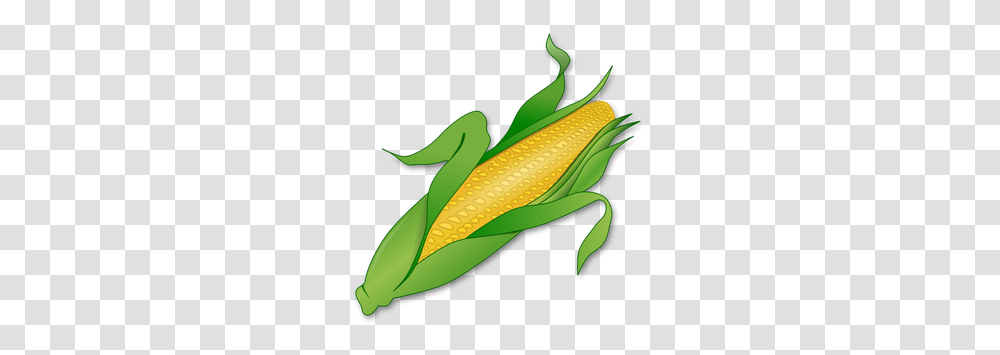Corn Roast Clip Art, Plant, Vegetable, Food, Animal Transparent Png