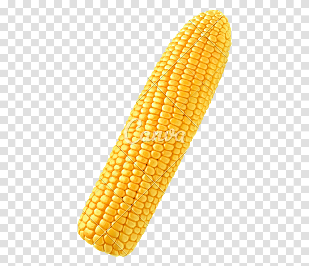 Corn Single Single Corn On The Cob, Plant, Vegetable, Food, Fungus Transparent Png