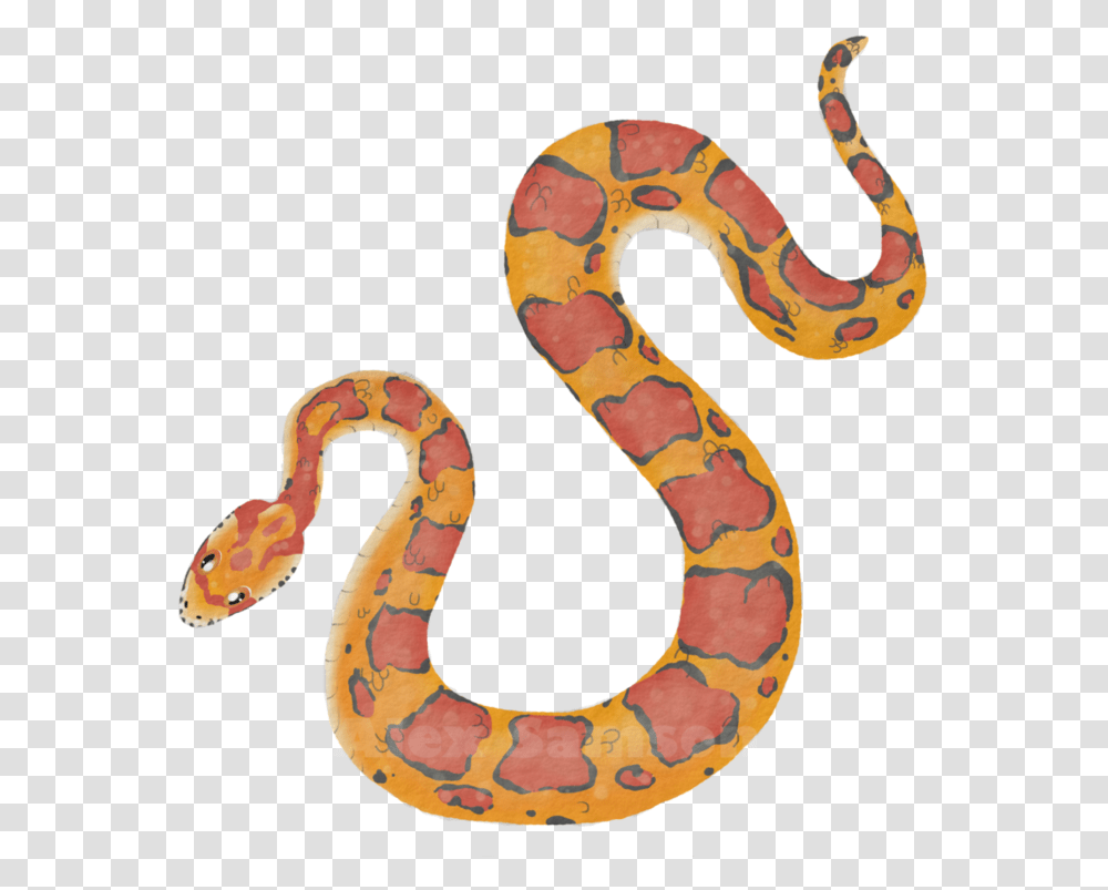 Corn Snake Corn Snake Clipart, Animal, Tattoo, Skin, King Snake Transparent Png