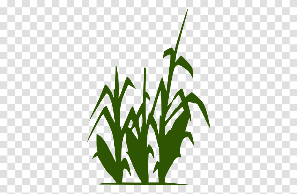 Corn Stalk Clip Art, Plant, Potted Plant, Vase, Jar Transparent Png
