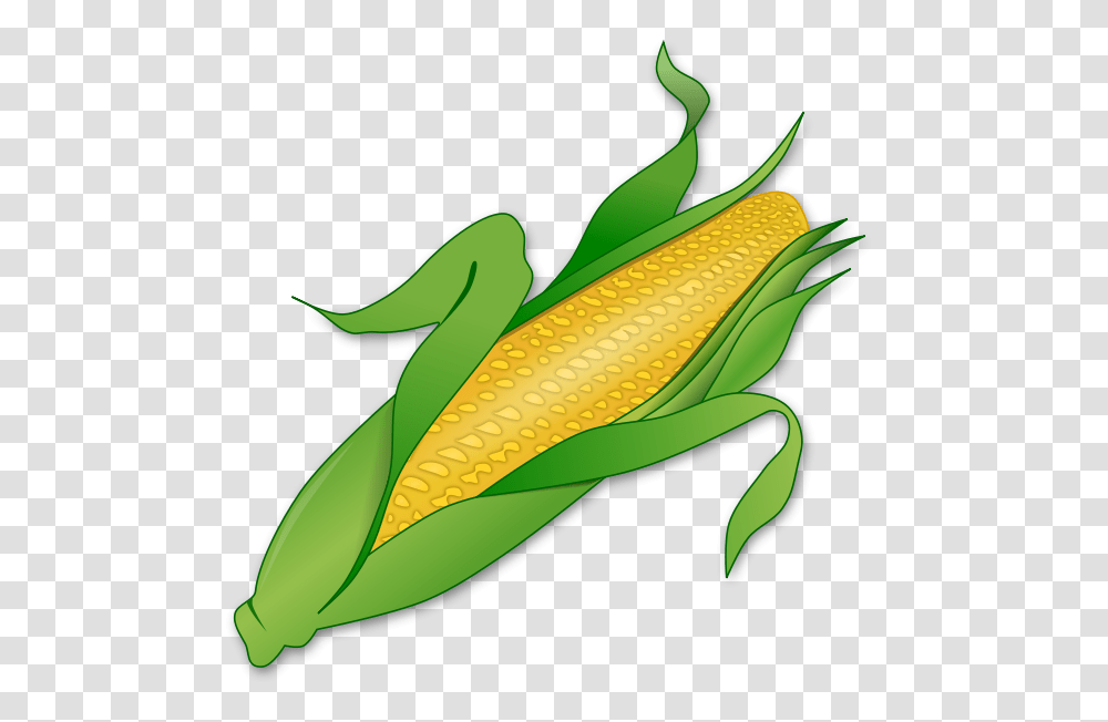 Corn Stalk Clip Arts For Web, Plant, Vegetable, Food, Banana Transparent Png