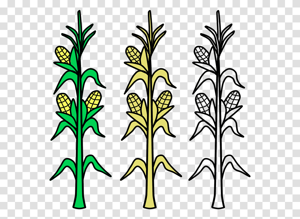 Corn Stalk Clipart Black And White, Floral Design, Pattern, Ornament Transparent Png