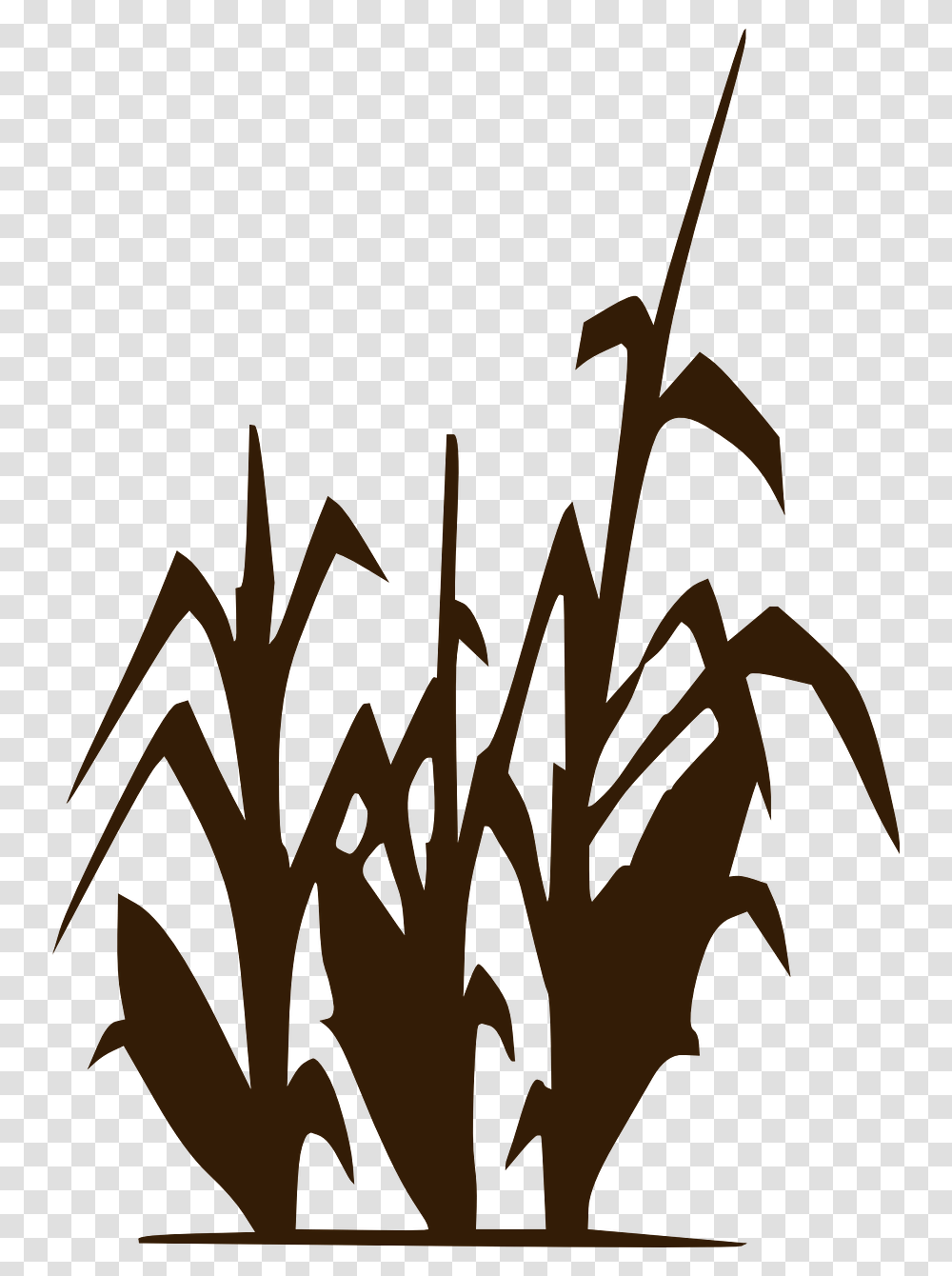 Corn Stalk Clipart Black And White, Calligraphy, Handwriting, Alphabet Transparent Png