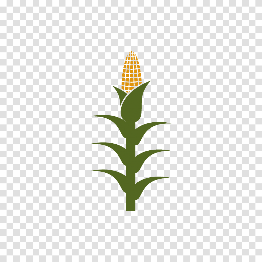 Corn Stalk Clipart Corn Stalks Clip Art, Text, Symbol, Number, Alphabet Transparent Png