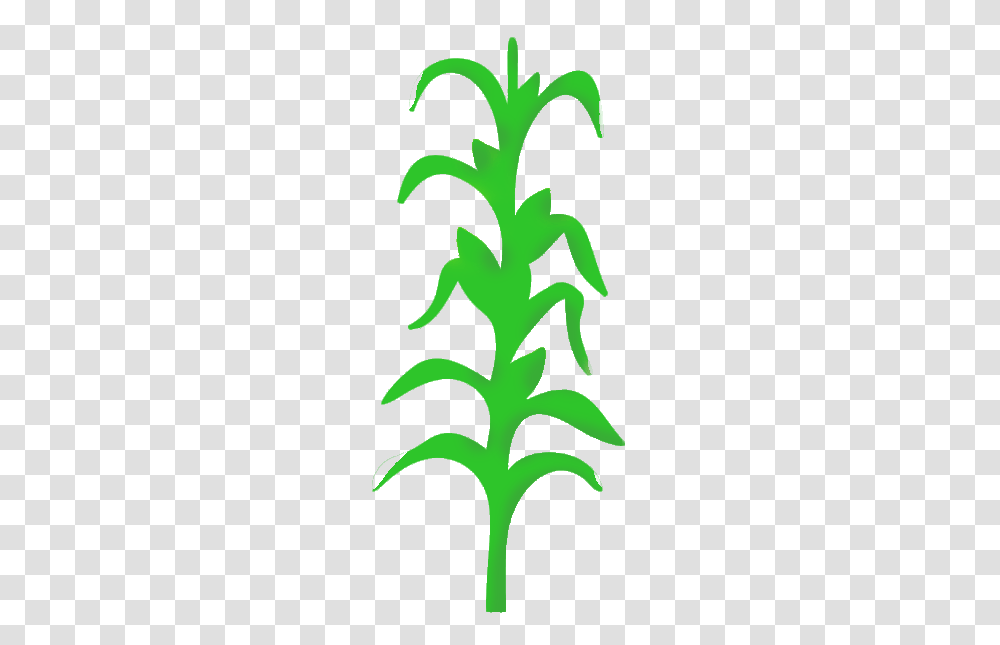 Corn Stalk Images Clip Art, Plant, Leaf, Animal, Amphibian Transparent Png