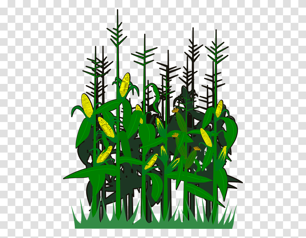Corn Svg Vector Pohon Jagung Animasi, Plant, Green, Flower, Blossom Transparent Png
