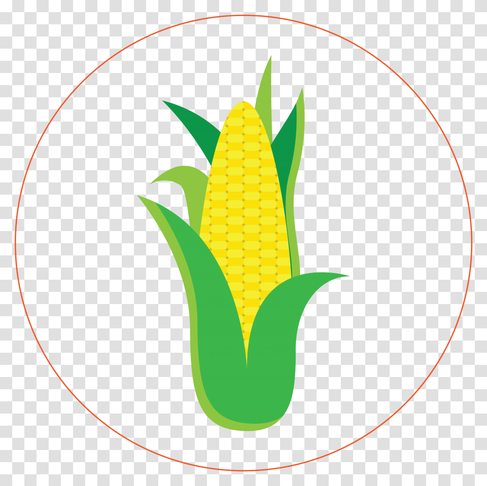 Corn Sweet Corn, Plant, Vegetable, Food, Dynamite Transparent Png
