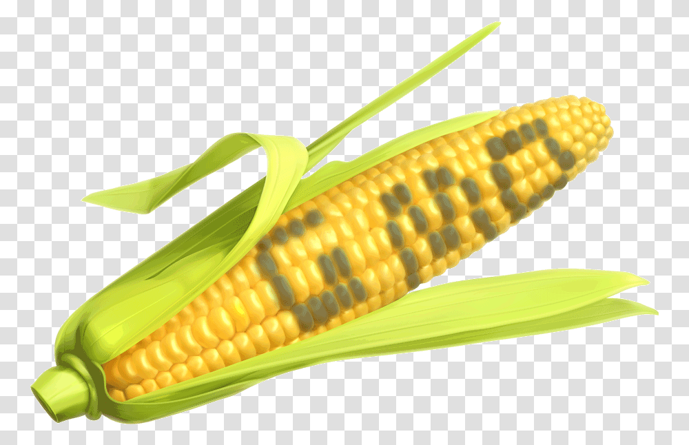 Corn The Says Gmo, Plant, Vegetable, Food, Snake Transparent Png