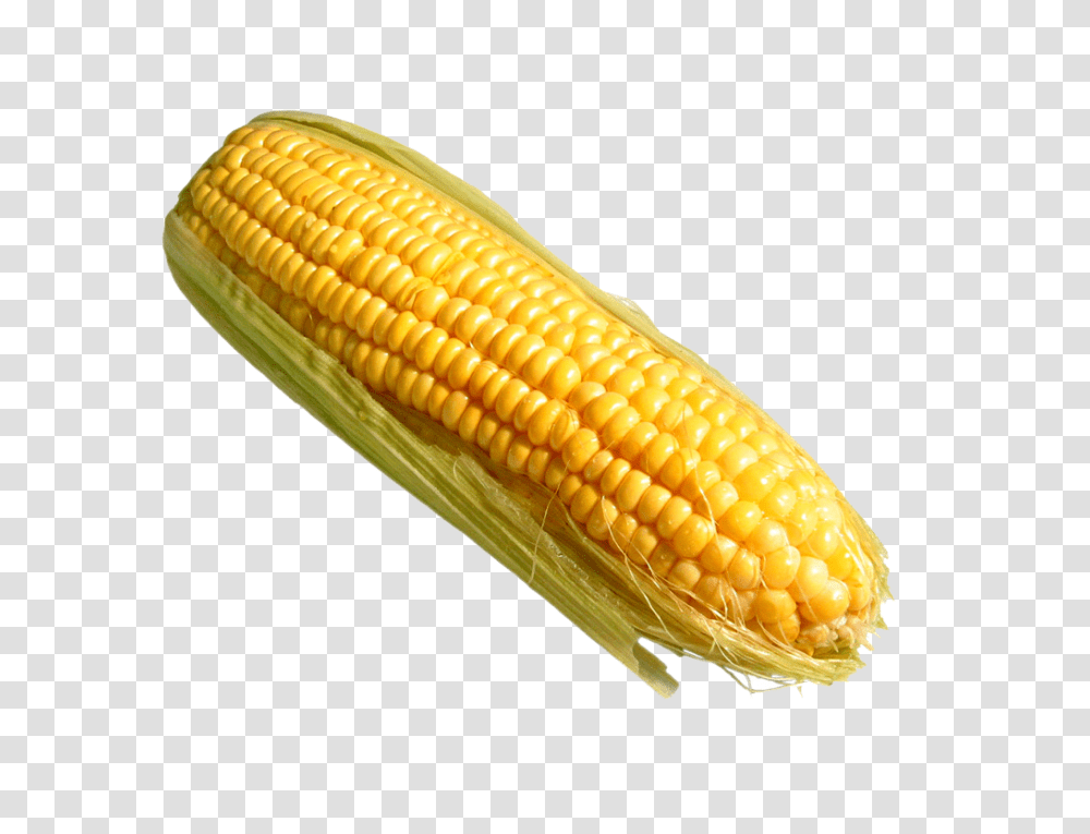 Corn Things That Are Yellow, Plant, Vegetable, Food, Grain Transparent Png