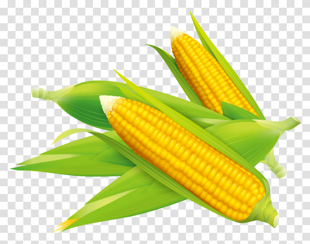 Corn Vector Flake Sweet Corn Vector, Plant, Vegetable, Food Transparent Png