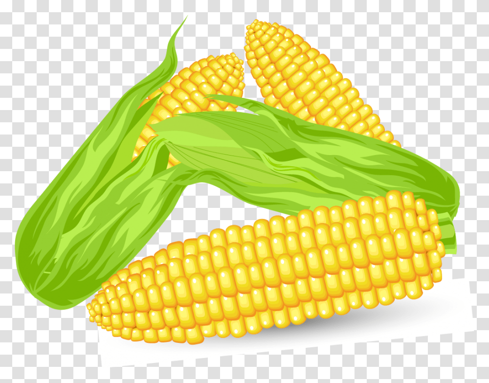 Corn Vector, Plant, Vegetable, Food, Snake Transparent Png