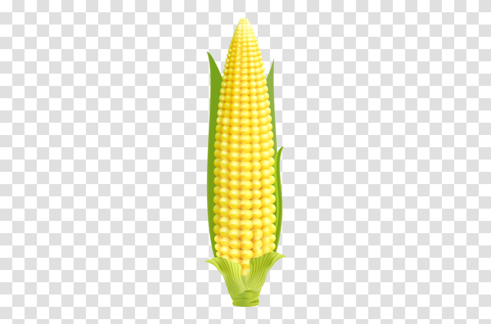 Corn, Vegetable, Pineapple, Fruit, Plant Transparent Png