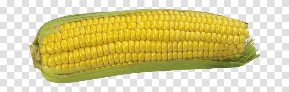 Corn, Vegetable, Plant, Food, Baseball Bat Transparent Png