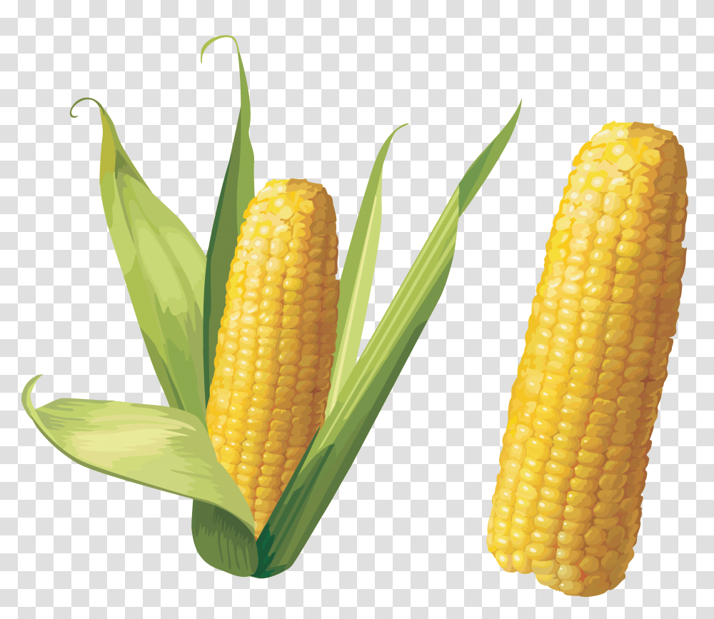 Corn, Vegetable, Plant, Food, Bulldozer Transparent Png