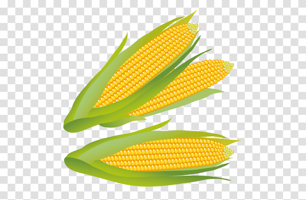Corn, Vegetable, Plant, Food, Fish Transparent Png
