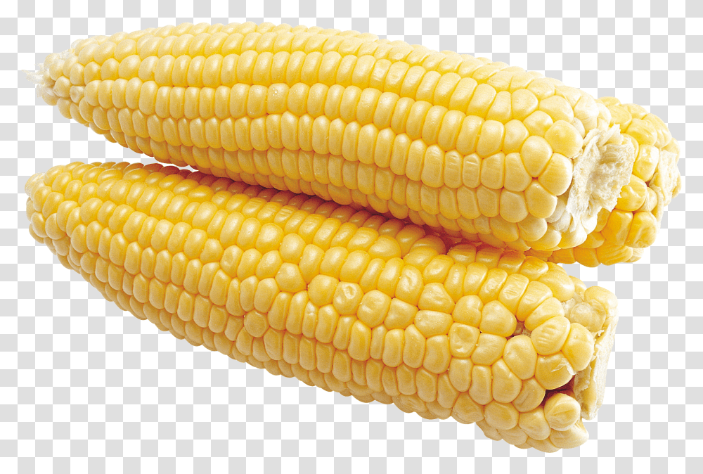 Corn, Vegetable, Plant, Food, Fungus Transparent Png