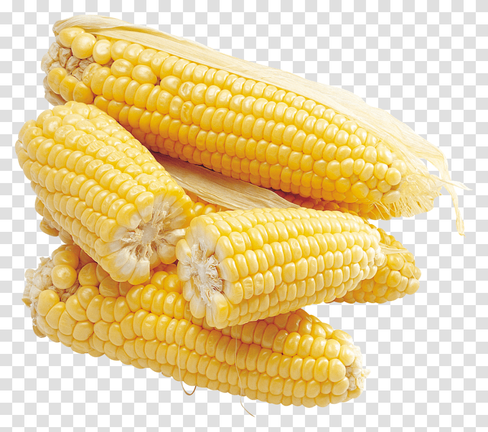 Corn, Vegetable, Plant, Food, Fungus Transparent Png