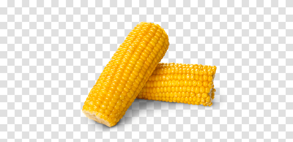 Corn, Vegetable, Plant, Food, Fungus Transparent Png