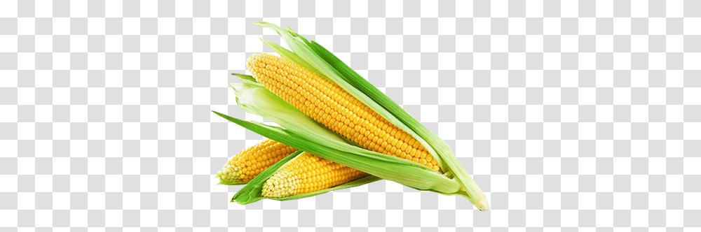 Corn, Vegetable, Plant, Food, Grain Transparent Png
