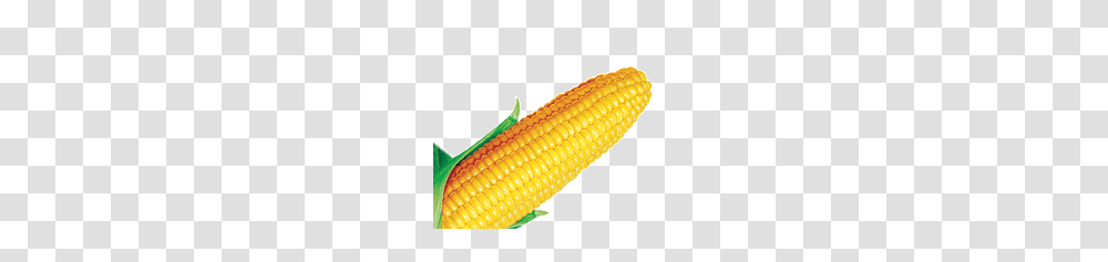 Corn, Vegetable, Plant, Food, Grain Transparent Png
