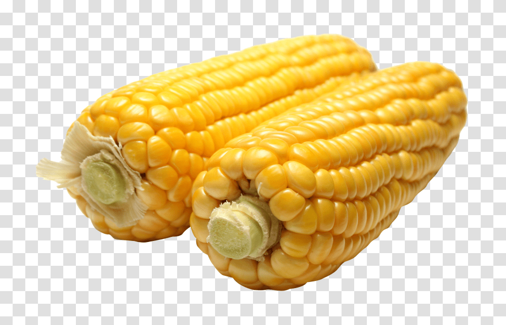 Corn, Vegetable, Plant, Food, Hot Dog Transparent Png