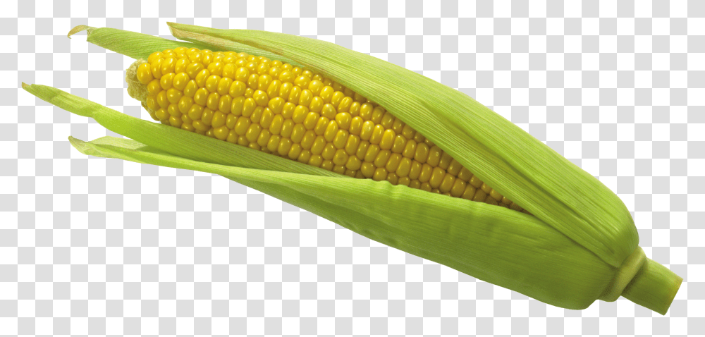 Corn, Vegetable, Plant, Food, Snake Transparent Png