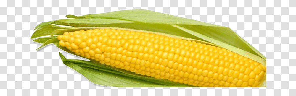 Corn, Vegetable, Plant, Food, Snake Transparent Png