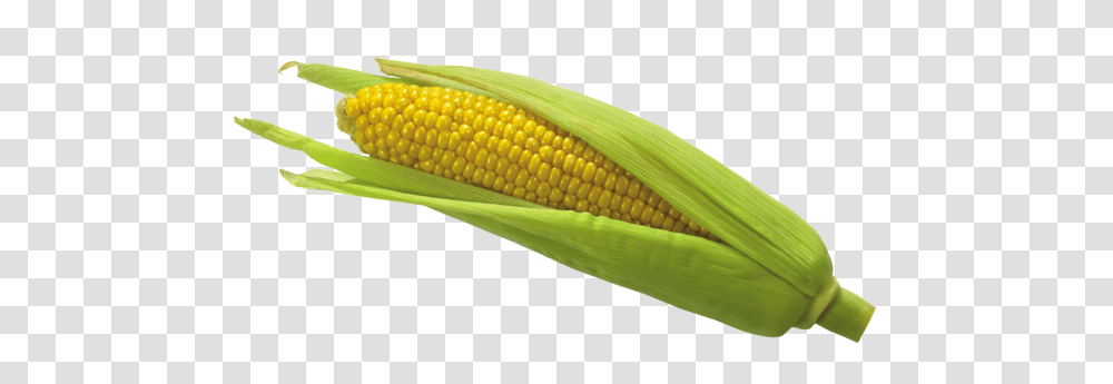 Corn, Vegetable, Plant, Food, Snake Transparent Png