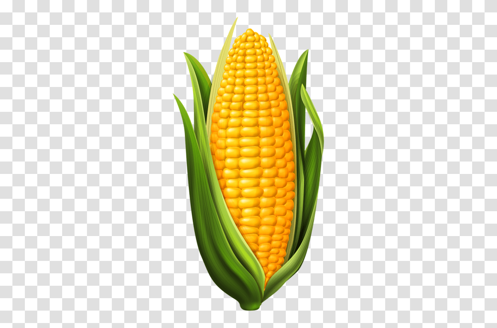 Corn, Vegetable, Plant, Food Transparent Png