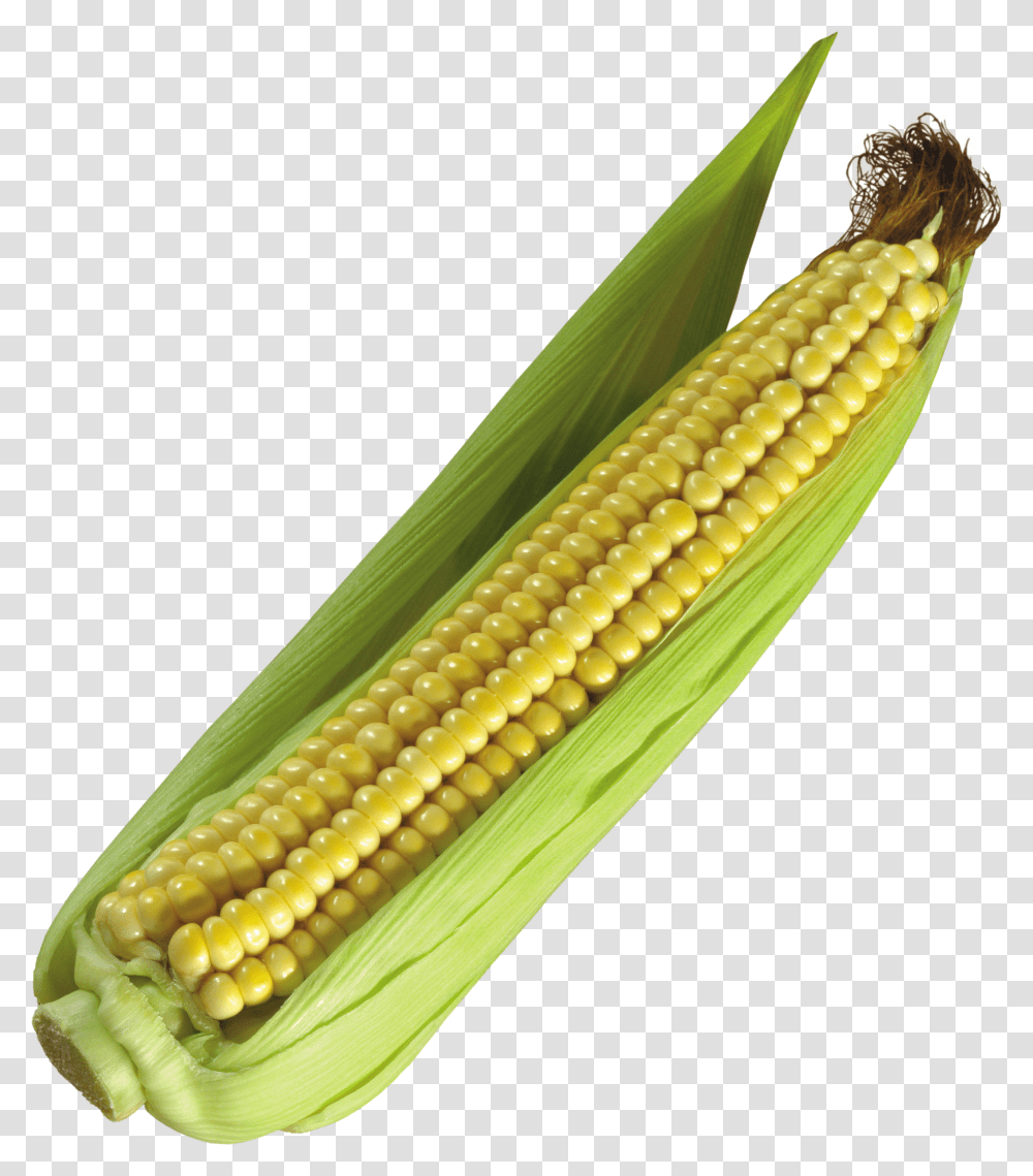 Corn, Vegetable Transparent Png