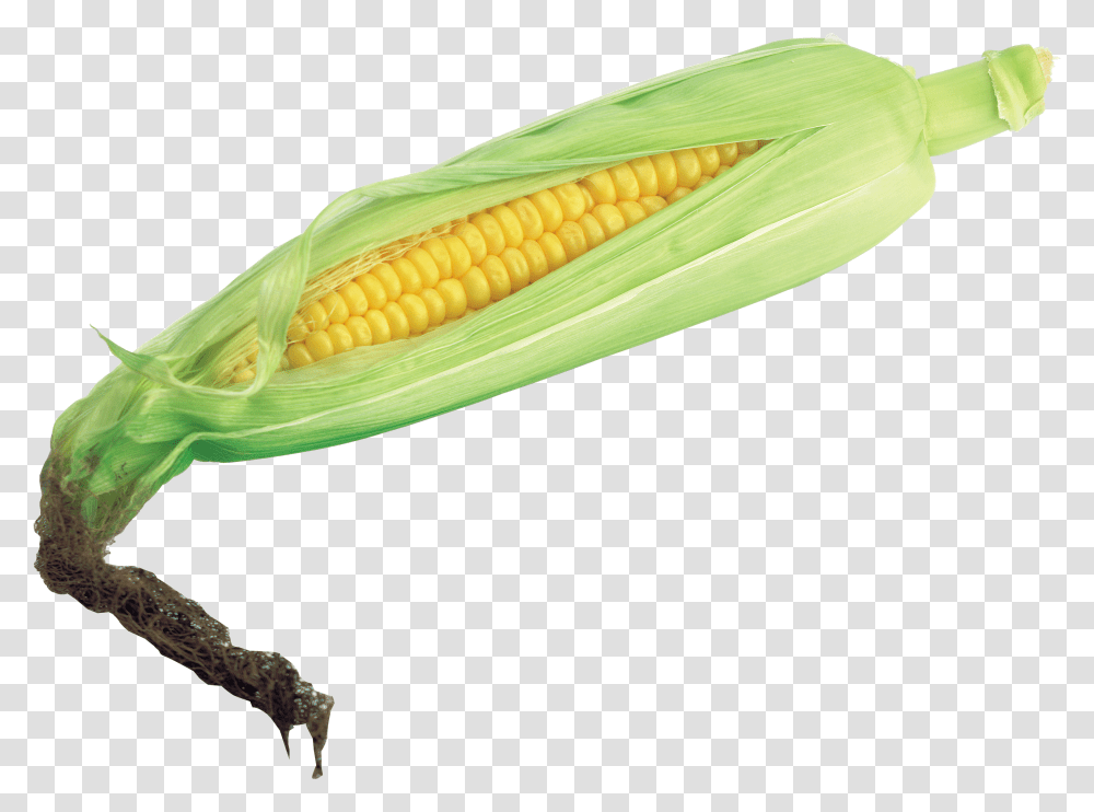 Corn, Vegetable Transparent Png