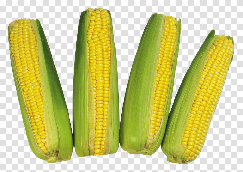 Corn, Vegetable Transparent Png